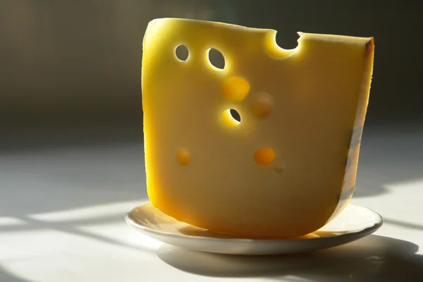 stock image Cheese