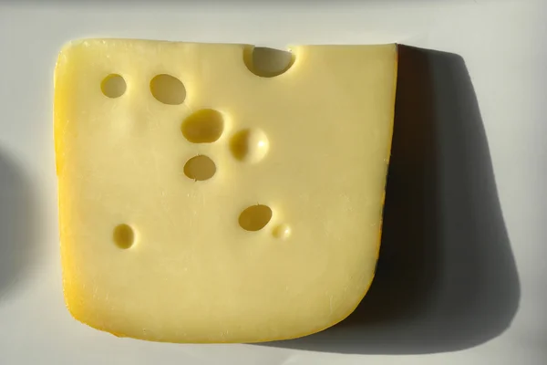 Сир — стокове фото