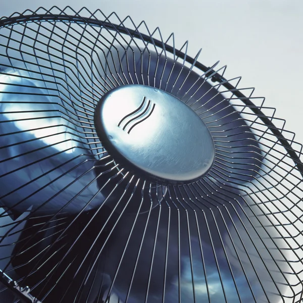 The fan — Stock Photo, Image