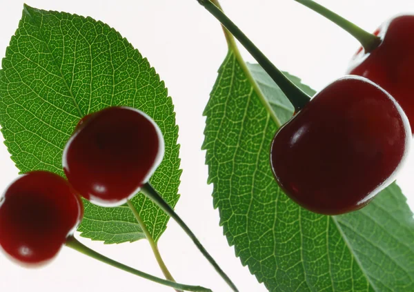 Red cherry — Stock Photo, Image
