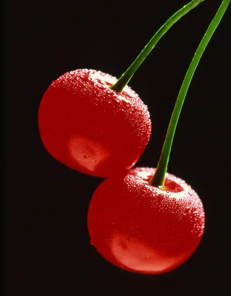 Cereza roja — Foto de Stock