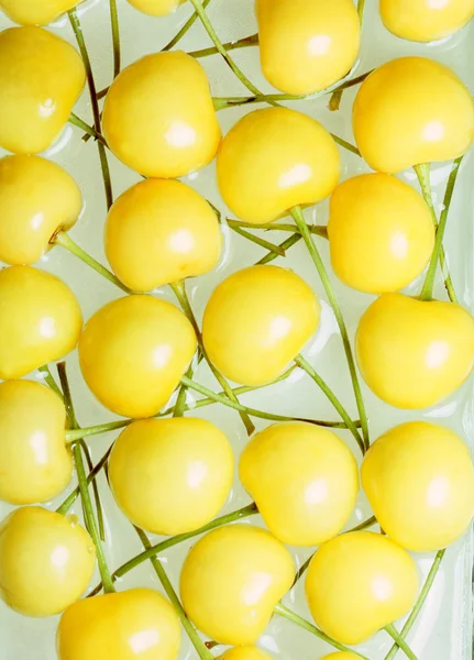 Желтая вишня — стоковое фото
