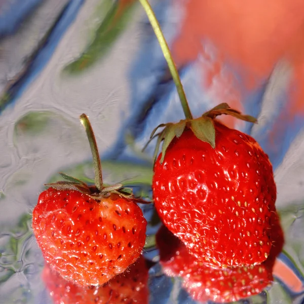 Strawberry, — Stock Photo, Image