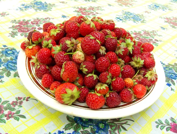 stock image Strawberry