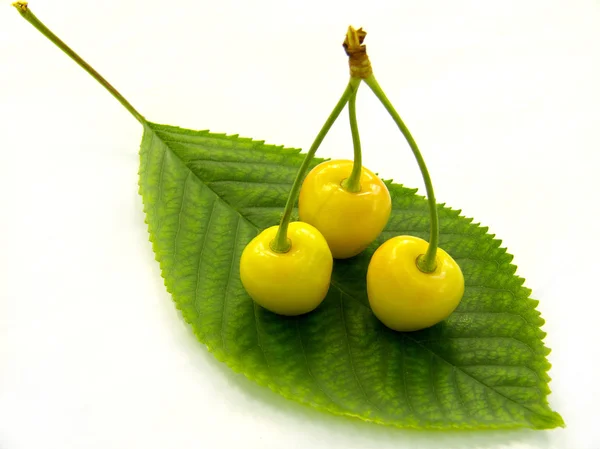 Cereja amarela — Fotografia de Stock
