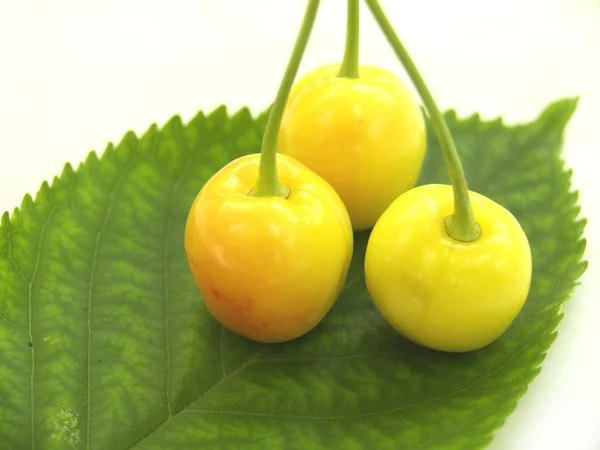 Yellow cherry — Stock Photo, Image