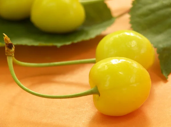 Yellow cherry — Stock Photo, Image