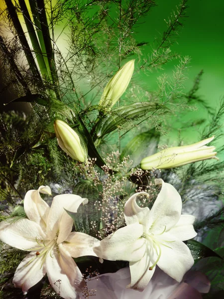 A bouquet — Stock Photo, Image