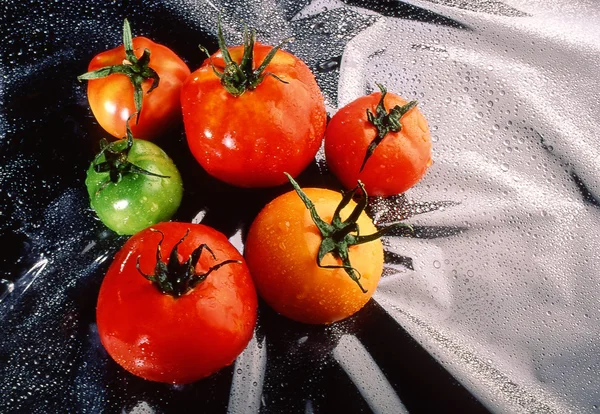 Tomaten — Stockfoto