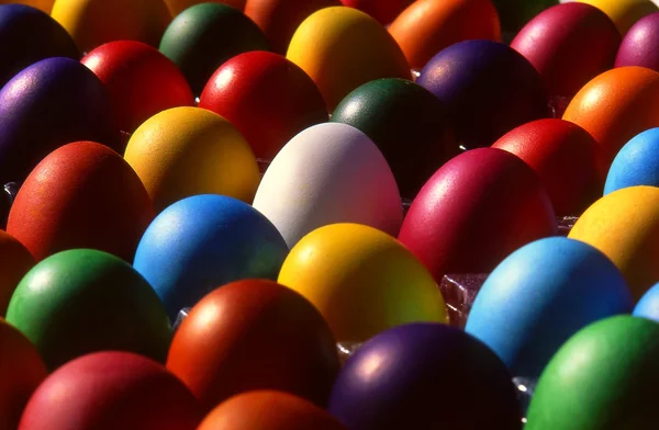 stock image Coloured eggs