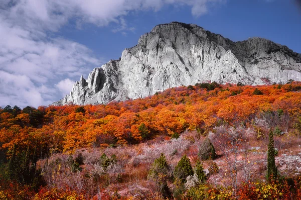 Stock image Landscape