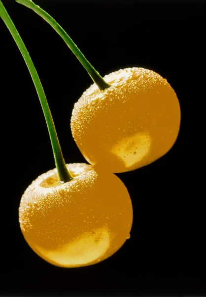 Желтая вишня — стоковое фото