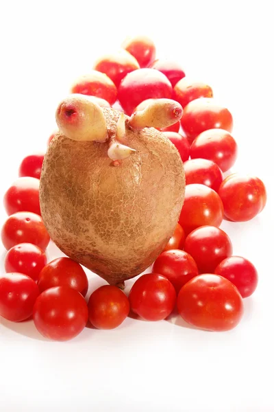 马铃薯、 番茄 — 图库照片