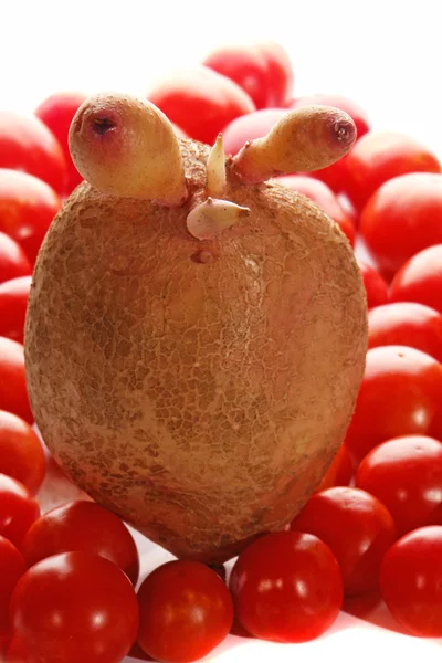 Potato, tomato — Stock Photo, Image