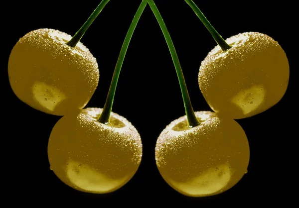 Симметрия жёлтой вишни — стоковое фото