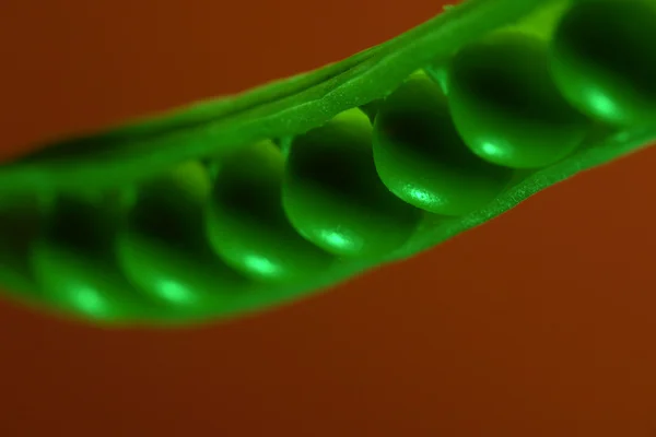 Pea în a green background — Stok Foto