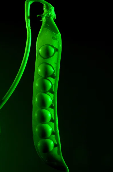 Ervilha em um fundo verde — Fotografia de Stock
