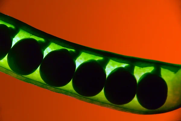 Pea în a green background — Stock fotografie