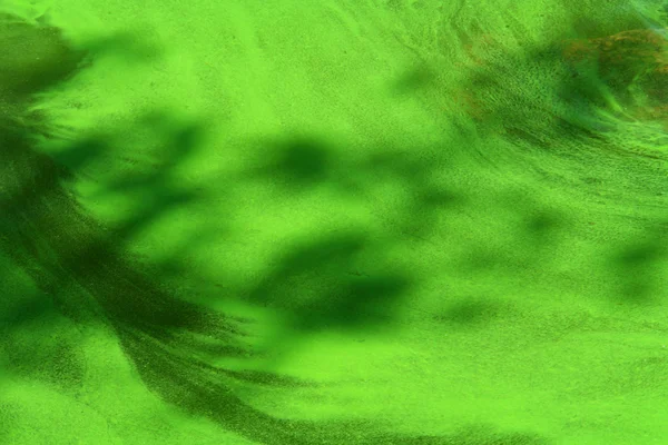 Πράσινο — Φωτογραφία Αρχείου