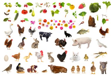 Farming clipart