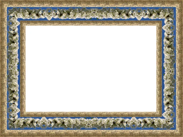 stock image Flower frame