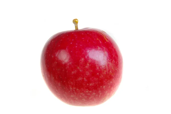 Apple rood — Stockfoto