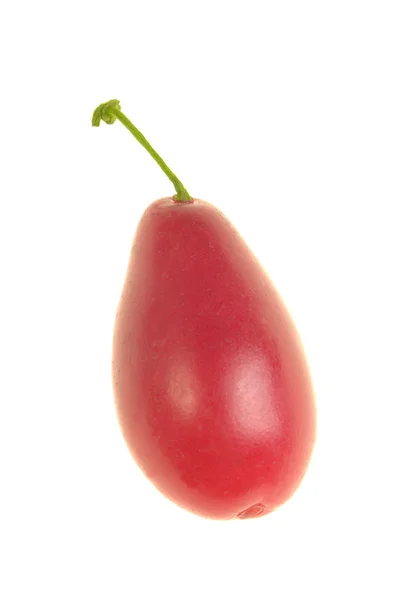 Cornelian cherry — Stock Photo, Image
