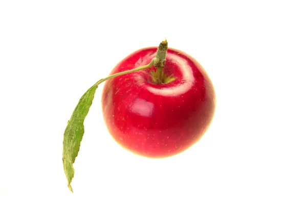 Rojo manzana —  Fotos de Stock