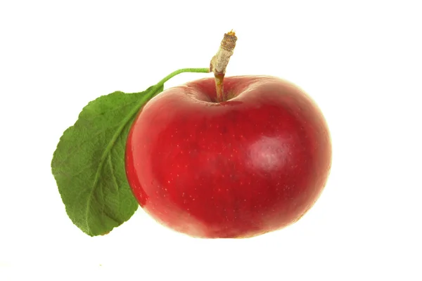 Apple червоний — стокове фото