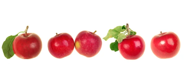 赤リンゴ — ストック写真