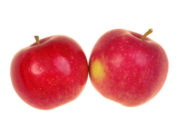 Rojo manzana — Foto de Stock