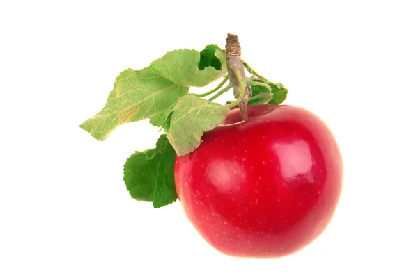 Μήλο κόκκινο — Φωτογραφία Αρχείου