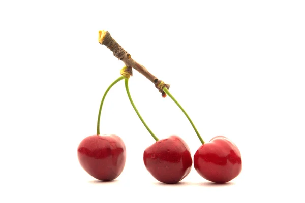 Красная вишня на белом фоне — стоковое фото