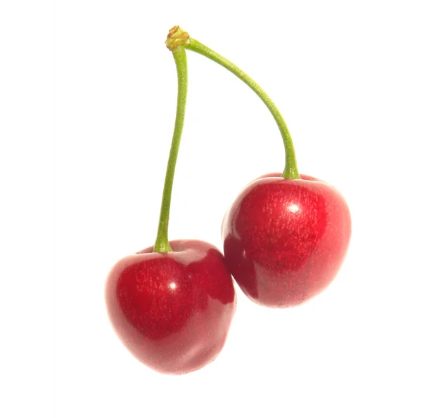 Cereza roja — Foto de Stock