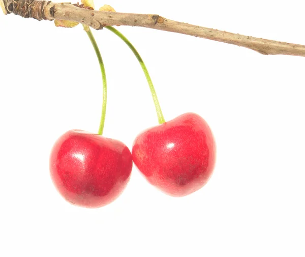 Piros cseresznye — Stock Fotó