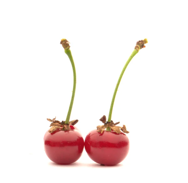 Cereza roja — Foto de Stock