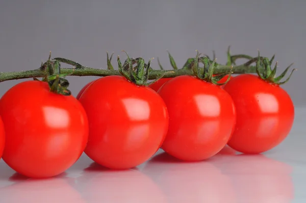 樱桃 tomatoe — 图库照片