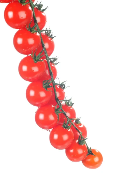 Wiśnia pomidor — Zdjęcie stockowe