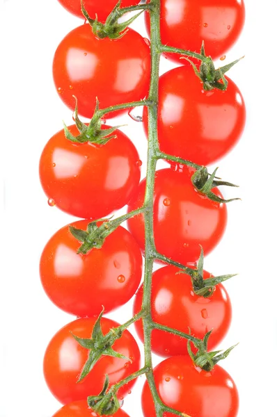 Beyaz bir arka plan üzerinde izole kiraz domates — Stok fotoğraf