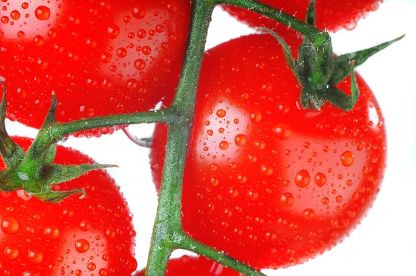 Tomates cereja isolados sobre um fundo branco — Fotografia de Stock