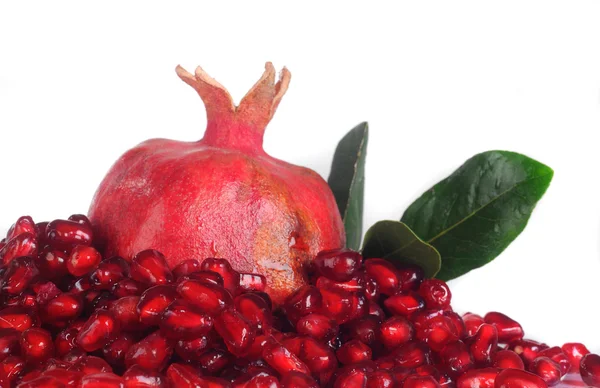 Grains pomegranate — Stock Photo, Image