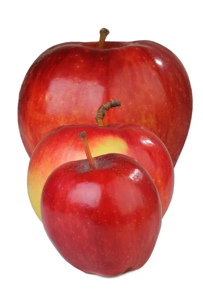 Apple red — Stock Photo, Image
