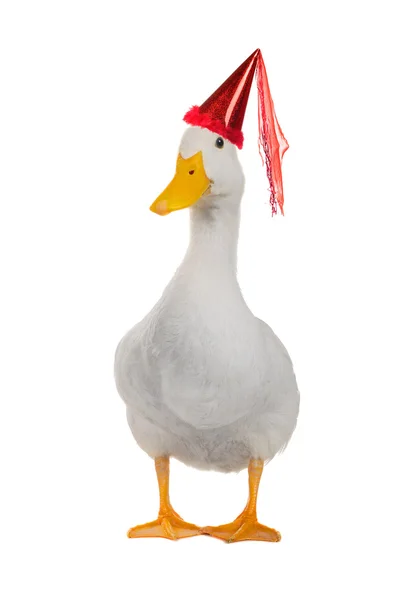 Small Duck Straw Hat On White Stock Photo 54461680