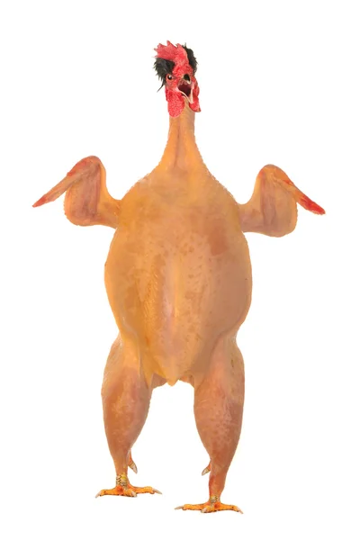 Rå full längd kyckling liggande — Stockfoto