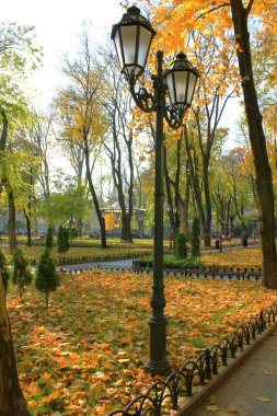 Autumn park in Odessa.