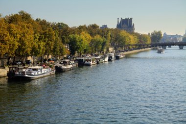 Seine Nehri