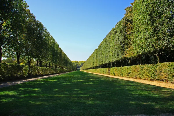 stock image Green path