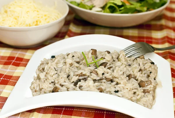 stock image Risotto