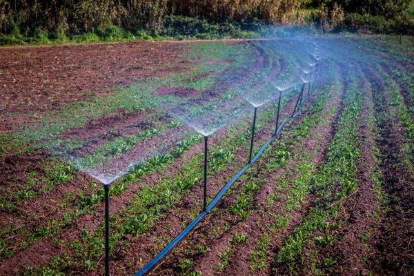 Irrigation — Photo