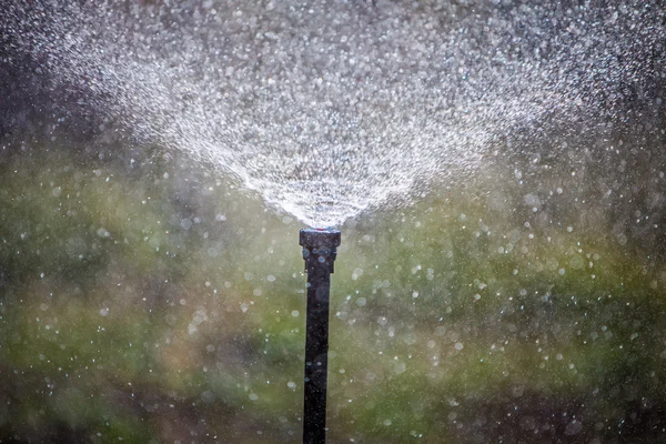 Bewässerung — Stockfoto
